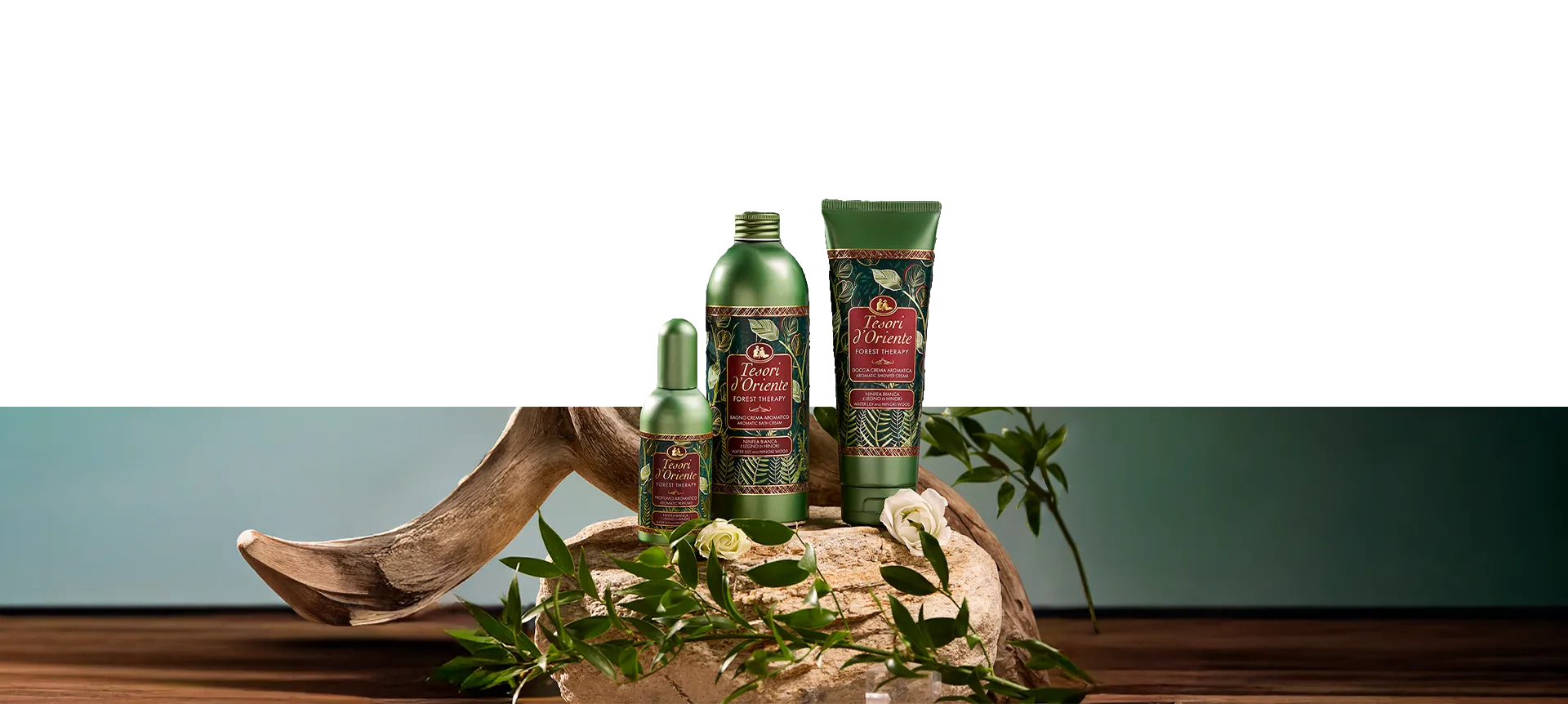 Forest Therapy | Tesori d'oriente